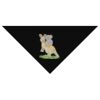 SOL'S Bandana Thumbnail